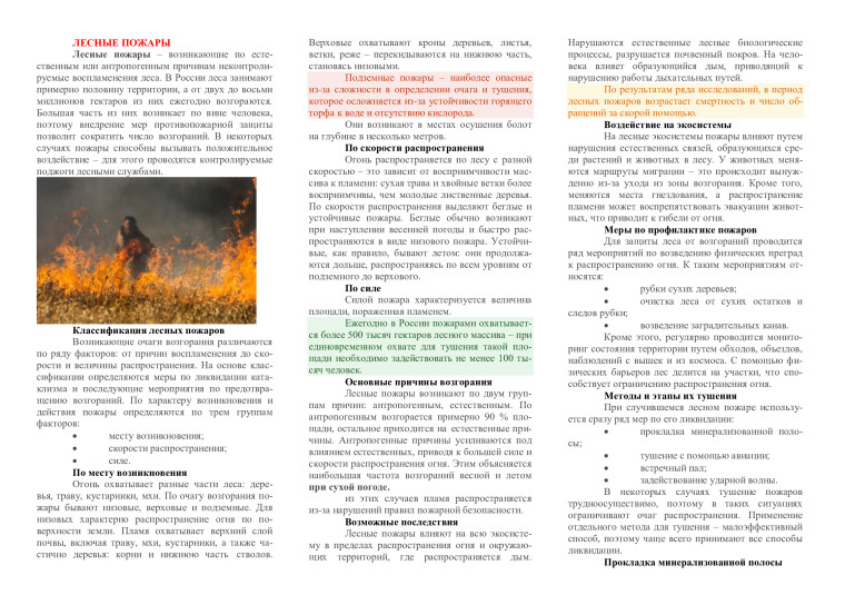 Памятка Лесные пожары. Памятка Лесные пожары.